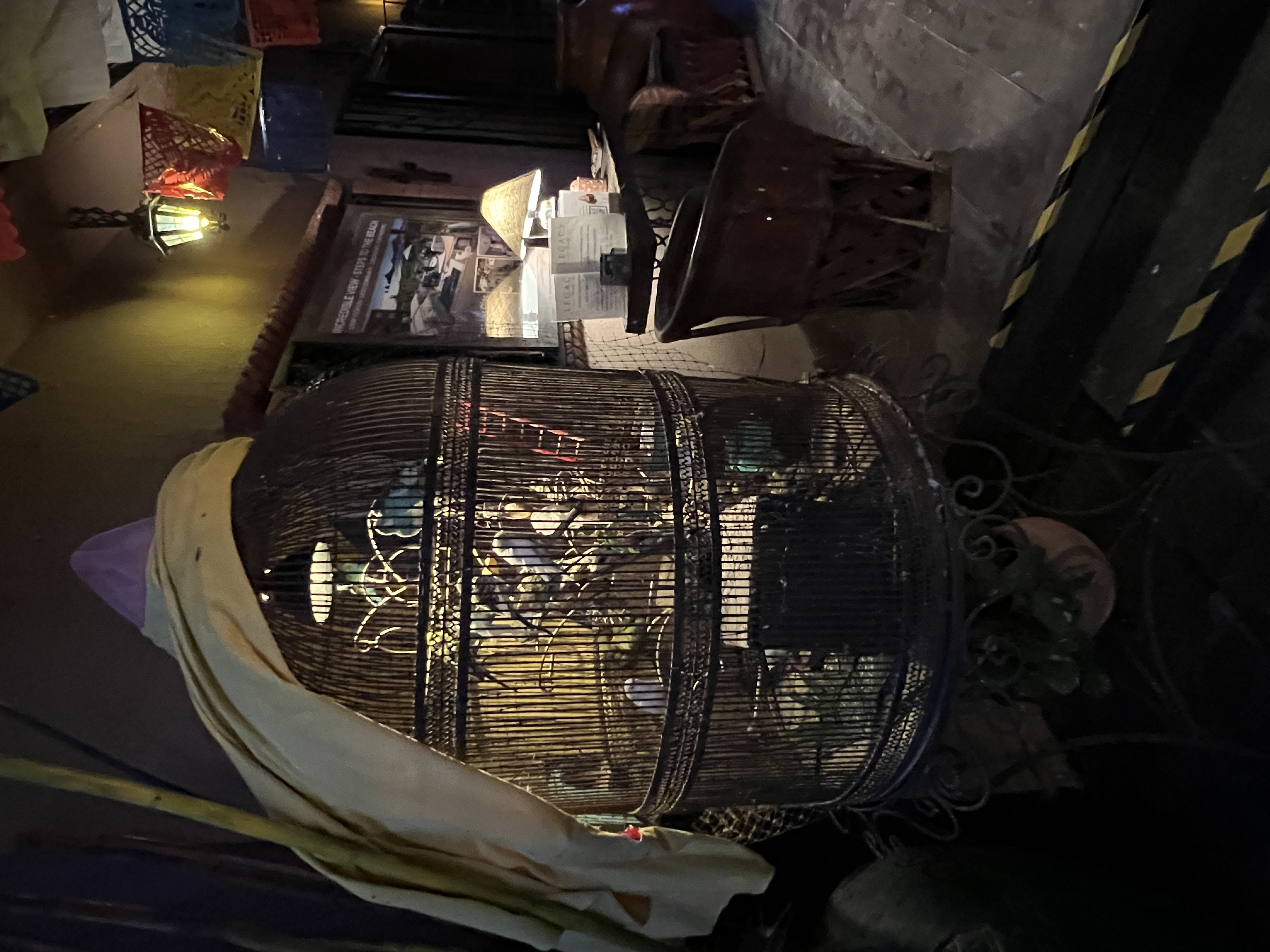 ./2024/13 - Cabo/IMG_4902.jpg